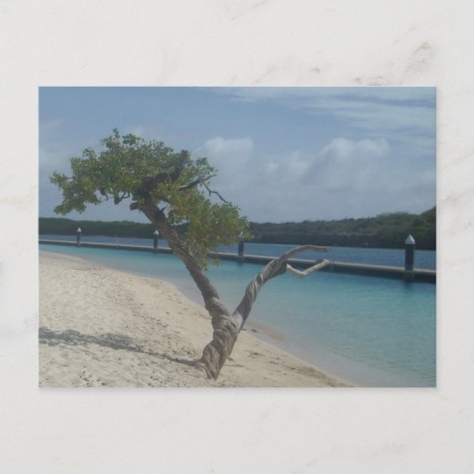 Curacao Postkarte (Vorderseite)