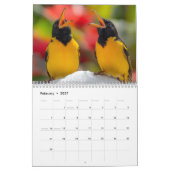 Curaçao-Traum Kalender (Feb 2027)