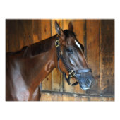 Curalina Fotodruck (Vorne)