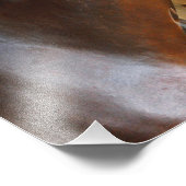 Curalina Fotodruck (Ecke)