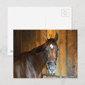 Curalina Postkarte (Vorne/Hinten)