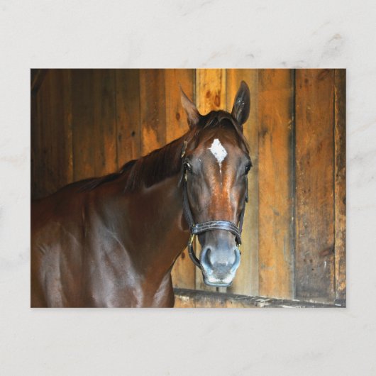 Curalina Postkarte (Vorderseite)