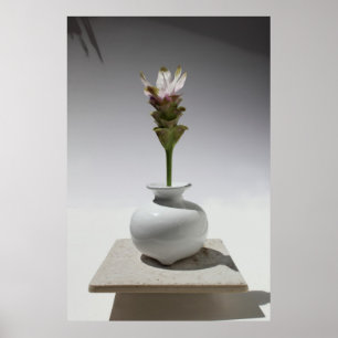 Curcuma Floating Poster -40x60 -andere Größen auch
