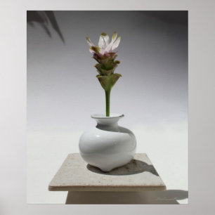 Curcuma Floating Print -20x24 -andere Größen auch Poster
