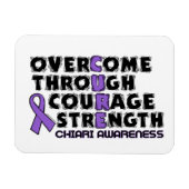 CURE...Chiari Magnet (Horizontal)