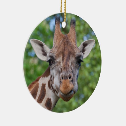 Curios Giraffe Keramikornament (Rechts)