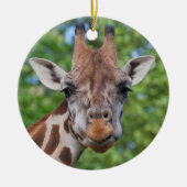 Curios Giraffe Keramikornament (Vorne)