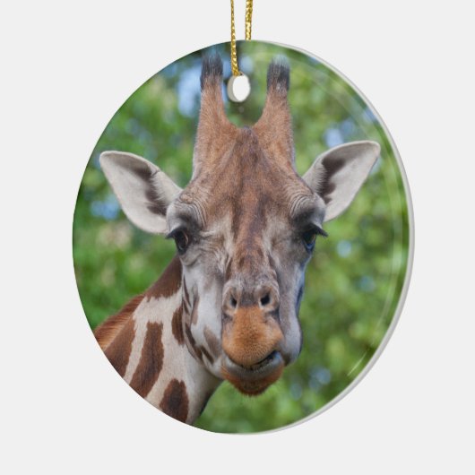 Curios Giraffe Keramikornament (Links)