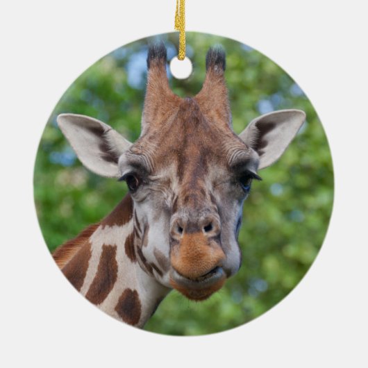 Curios Giraffe Keramikornament (Hinten)