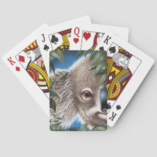 Curios Koala Spielkarten