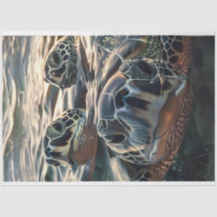 Curios Trio Turtles of the Deep Decoupage Seidenpapier