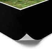 "CURIOSITY"-Coon-Foto-Poster Poster (Ecke)