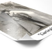 Curiosity Fotodruck (Ecke)