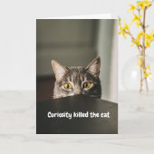 Curiosity Killed Karte (Gelbe Blume)