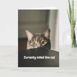 Curiosity Killed Karte