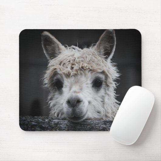 Curious Alpaca Mouse Pad Mousepad (Mit Mouse)