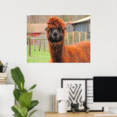 Curious Alpaca ~ Print Poster (Heimbüro)