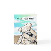 Curious Beach Wheaten Terrier Card