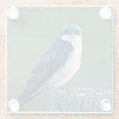 Curious Bird Glasuntersetzer (Rückseite)