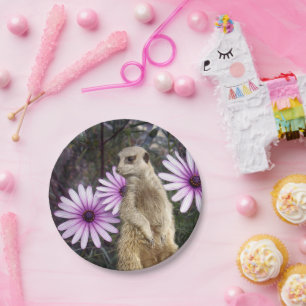 Curious Bloom: Meerkat unter den Lila Tageszeitung Pappteller