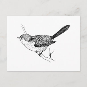 Curious Bushtit Bird Sketch Postkarte