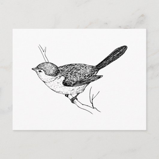 Curious Bushtit Bird Sketch Postkarte (Vorderseite)