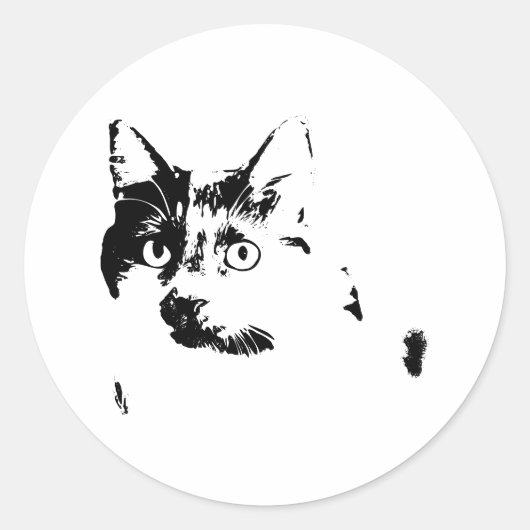 Curious Cat Vinyl Sticker (Vorderseite)