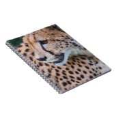 CURIOUS CHEETAH NOTIZBLOCK (Rechte Seite)