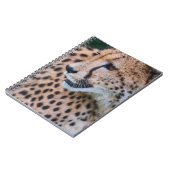 CURIOUS CHEETAH NOTIZBLOCK (Linke Seite)