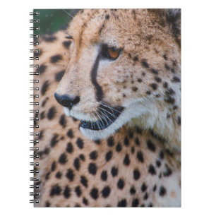 CURIOUS CHEETAH NOTIZBLOCK