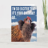 Curious Chicken Head Close-Up Photograph Karte (Vorderseite)