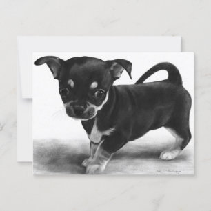Curious Chihuahua Puppy - handgemalte Kunstwerke Postkarte