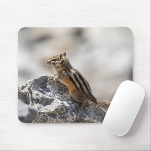 Curious Chipmunk - Kanadische Naturfotografie Mousepad