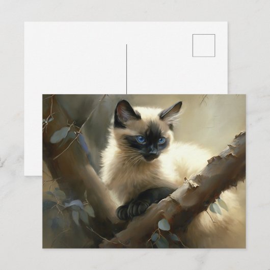 Curious Climber Siamese Kitten Postkarte (Vorne/Hinten)