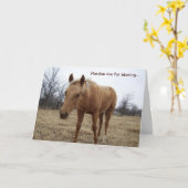 Curious Colt - Geburtskarte Karte (Gelbe Blume)