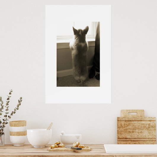 Curious Corgi Poster (Küche)