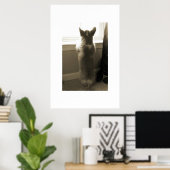 Curious Corgi Poster (Heimbüro)