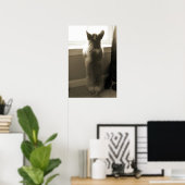 Curious Corgi Poster (Heimbüro)