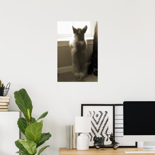 Curious Corgi Poster (Heimbüro)