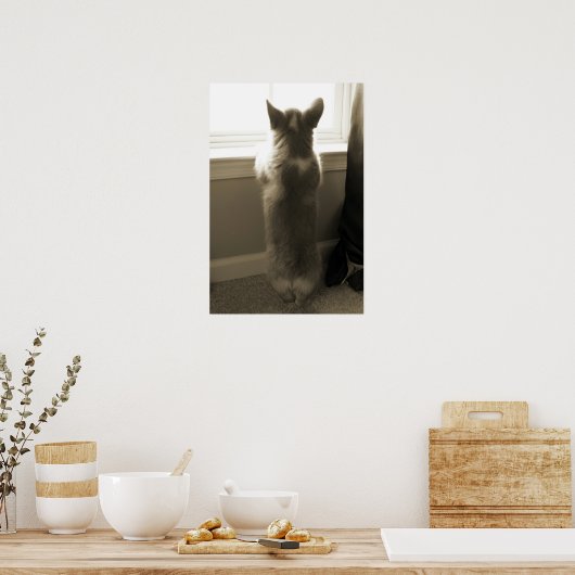 Curious Corgi Poster (Küche)
