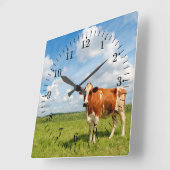 Curious cow standing on meadow. quadratische wanduhr (Winkel)