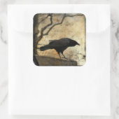 Curious Crow Quadratischer Aufkleber (Tasche)