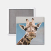 Curious Giraffe Portrait Magnet (Vorderseite/Rückseite)