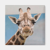 Curious Giraffe Portrait Magnet (Vorne)