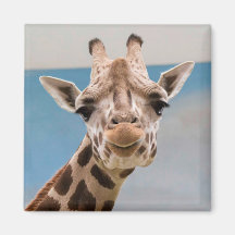 Curious Giraffe Portrait