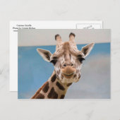 Curious Giraffe Portrait Postkarte (Vorne/Hinten)
