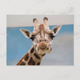 Curious Giraffe Portrait Postkarte