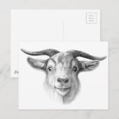 Curious goat G124 Postkarte (Vorne/Hinten)