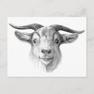 Curious goat G124 Postkarte