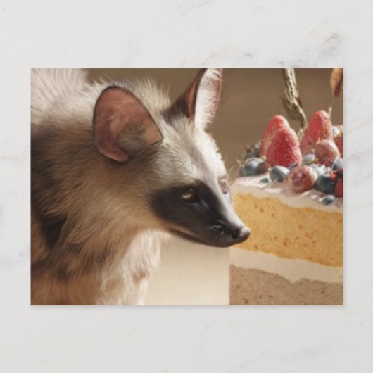 Curious Hyena & Cake Postcard Postkarte (Vorderseite)